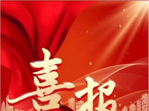 喜報(bào)！精大儀表被認(rèn)定為 合肥市大數(shù)據(jù)企業(yè)